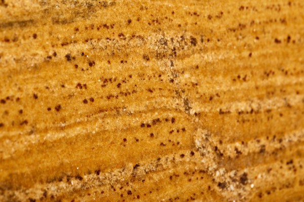 Madura Gold Dark